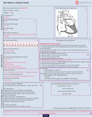 Effect of clinical decision support systems on emergency medicine physicians' decision-making: A pilot scenario-based simulation study